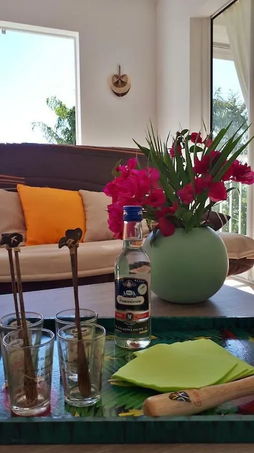 L'Aquarelle Apartment Le Gosier